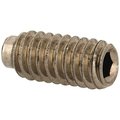 Newport Fasteners Socket Set Screw, Half Dog Point, 8-32 x 1/4", Stainless Steel, 18-8, Hex Socket Drive , 100PK 478346-100